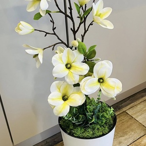 Magnólia padlóvázában  - Meska.hu