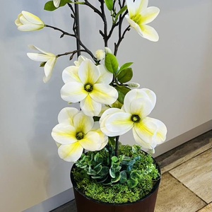 Magnólia padlóvázában  - Meska.hu