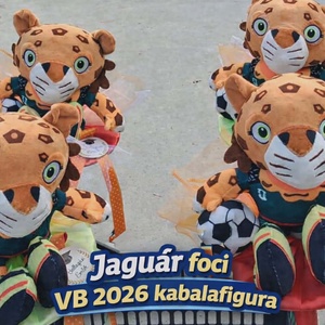 Foci VB ballagási csokor plüss figurával � focirajongóknak tökéletes ajándék - Meska.hu