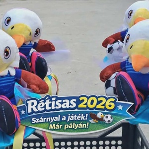 Focis ballagási csokor sas plüss figurával � sportos ajándék ballagásra - Meska.hu