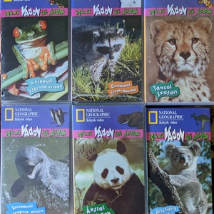 VHS mese és film kazetták. - művészet - bakelit lemezek & kazetták - Meska.hu