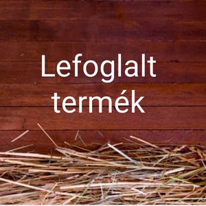 Lefoglalt termék - Meska.hu