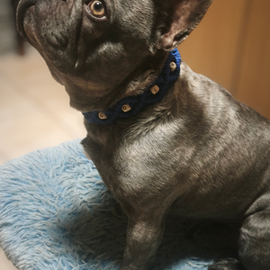 Egyedi nyakörv - névvel is rendelhető  - otthon & életmód - kisállatoknak - kutyáknak - kutya nyakörv - Meska.hu