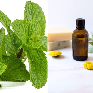 Borsmenta 100% illóolaj 10 ml, Kellékek & szerszámok, Kozmetikai alapanyag, Kozmetikum készítés, Szappankészítés, MESKA