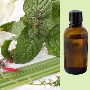 Citromfű 100% illóolaj 10 ml, Kellékek & szerszámok, Kozmetikai alapanyag, Kozmetikum készítés, Szappankészítés, MESKA