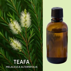 Teafa 100% illóolaj 10 ml , Kellékek & szerszámok, Kozmetikai alapanyag, Kozmetikum készítés, Szappankészítés, MESKA