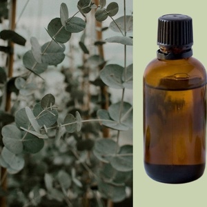 Eukaliptusz 100%  illóolaj 10 ml , Kellékek & szerszámok, Kozmetikai alapanyag, Kozmetikum készítés, Szappankészítés, MESKA