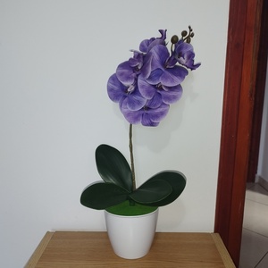 Lila orchidea kaspóban - Meska.hu