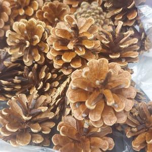 Toboz  10db/csomag dekorációhoz, Kellékek & szerszámok, Dekorációs kellékek, Toboz, Mindenmás, Virágkötés, Dekoráció készítéséhez hasznalható termeszetes alapanyag.
Kezeletlen.
Az ár 10 db/csomagra vonatkoz..., MESKA