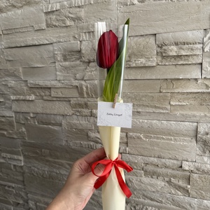 Nőnapi tulipán - Meska.hu