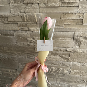 Csomagolt tulipán - otthon & életmód - virágdekoráció - virágok - szálas virág - Meska.hu