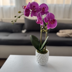 Gondozásmentes orchidea - Meska.hu