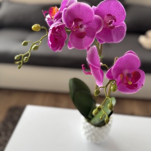 Gondozásmentes orchidea - otthon & életmód - virágdekoráció - virágdíszek - virágdísz kaspóban - Meska.hu