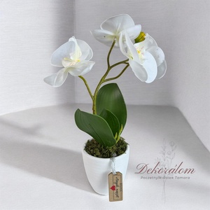 Gondozásmentes orchidea, Otthon & Életmód, Virágdekoráció, Virágdíszek, Virágdísz kaspóban, Virágkötés, 30 cm magas élethű orchidea anyák napi bilétával (anélkül is kérhető), MESKA