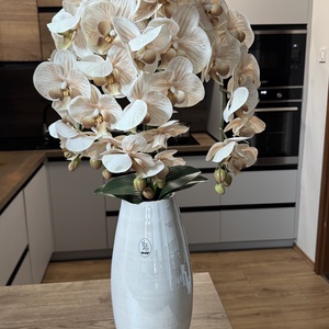 Gondozásmentes orchidea - Meska.hu