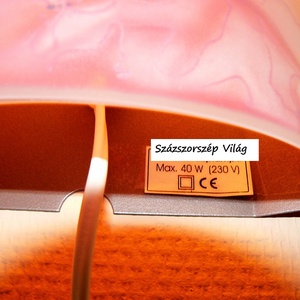 Selyemfestett virágos dekor lámpa - otthon & életmód - lámpa - hangulatlámpa - Meska.hu