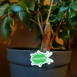 Poloska hűtőmágnes/kulcstartó/kitűző � Átteleltünk - otthon & életmód - konyhafelszerelés, tálalás - konyhai dekoráció - hűtőmágnes - Meska.hu