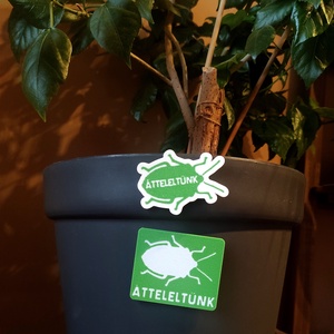 Poloska hűtőmágnes/kulcstartó/kitűző � Átteleltünk, Otthon & Életmód, Konyhafelszerelés, tálalás, Konyhai dekoráció, Hűtőmágnes, Mindenmás, MESKA