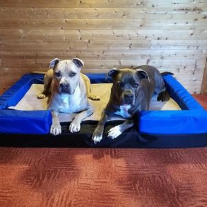 Egyedi, minőségi, lehúzható és mosható kutyafekhely, kutyaágy - otthon & életmód - kisállatoknak - kutyáknak - Meska.hu Egyedi, minőségi, lehúzható és mosható kutyafekhely, kutyaágy - otthon & életmód - kisállatoknak - kutyáknak - Meska.hu