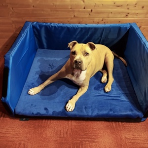 Vízálló, lehúzható és mosható autós csomagtartó box - otthon & lakás - kisállatoknak - kutyáknak - Meska.hu Vízálló, lehúzható és mosható autós csomagtartó box - otthon & lakás - kisállatoknak - kutyáknak - Meska.hu