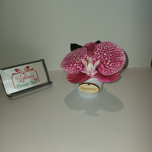 Real Touch Orchidea mini kaspóban, Esküvő, Emlék & Ajándék, Köszönőajándék, Virágkötés, MESKA