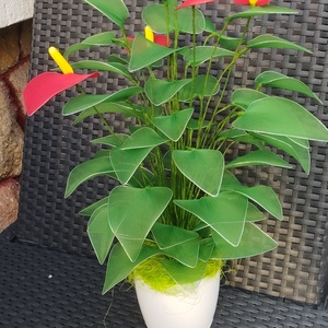 Harisnyavirg  - otthon & életmód - dekoráció - virágdísz és tartó - cserép & kaspó - Meska.hu