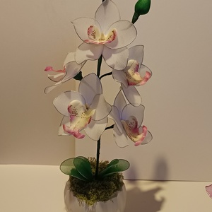 Orchidea harisnyavir�g , Otthon & Életmód, Dekoráció, Asztal és polc dekoráció, Asztaldísz, Virágkötés, MESKA
