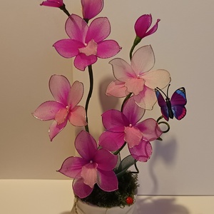 Orchidea harisnyavir�g  - Meska.hu