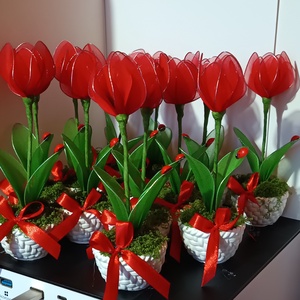 Harisnyavir�g tulipán , Otthon & Életmód, Virágdekoráció, Virágdíszek, Virágdísz kaspóban, Virágkötés, MESKA