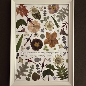 Idézetes kép préselt virágokkal, levelekkel - otthon & életmód - dekoráció - kép & falikép - 3d képek - Meska.hu