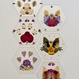 Plexi poháralátét valódi préselt virágokkal - otthon & életmód - konyhafelszerelés, tálalás - tálalás - tányér- és poháralátét - Meska.hu