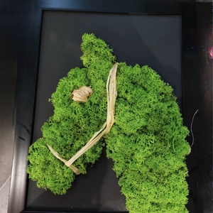 Moha Ló , Otthon & Életmód, Dekoráció, Asztal és polc dekoráció, Zuzmódekoráció, Mohadekoráció, , MESKA