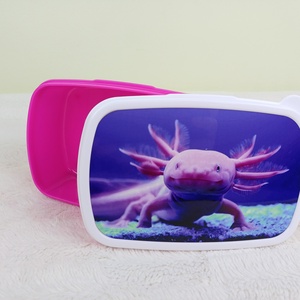 Vidám uzsidoboz, uzsonnás doboz, axolotl, Táska & Tok, Uzsonna- & Ebéd tartó, Ebéd tasak, doboz, Mindenmás, MESKA