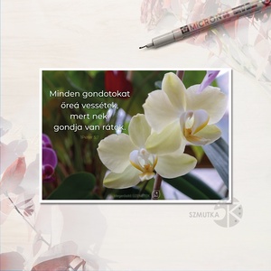 Igés lap, Ajándékkísérő lap üzenettel, Otthon & Életmód, Papír, írószer, Ajándékozás kellékei, Ajándékkísérő, Fotó, grafika, rajz, illusztráció, MESKA