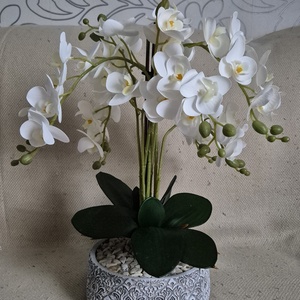 Élethű orchidea, Otthon & Életmód, Dekoráció, Asztal és polc dekoráció, Asztaldísz, Mindenmás, MESKA