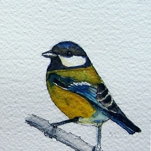 Kékcinke, széncinke, barátcinege - akvarell madárkák, cinke sorozat -  - Meska.hu