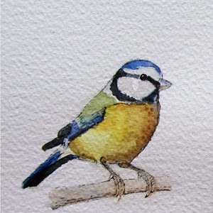 Kékcinke, széncinke, barátcinege - akvarell madárkák, cinke sorozat -  - Meska.hu