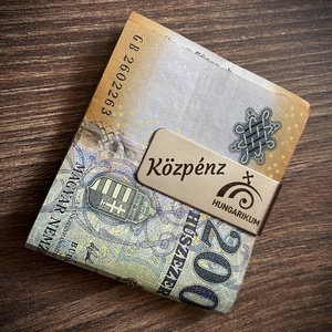 Pénzcsipesz  közpénz   - táska & tok - pénztárca & más tok - pénztárca - férfi pénztárca - Meska.hu