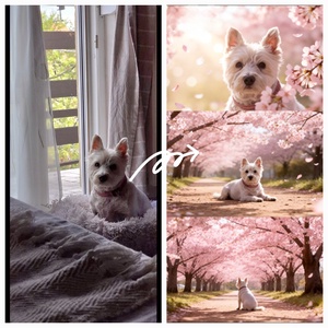 Tavaszi cseresznyevirágzás vászonkép kedvenceddel 50x28 cm , Otthon & Életmód, Dekoráció, Kép & Falikép, Táblakép, , MESKA