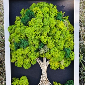 Elő stabilizált, Gondozásmentes moha, Zuzmó kép 21x30cm!  - otthon & életmód - dekoráció - fali és függő dekoráció - zuzmókép, mohakép - Meska.hu