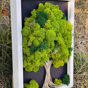Elő stabilizált, Gondozásmentes moha, Zuzmó kép 21x30cm!  - otthon & életmód - dekoráció - fali és függő dekoráció - zuzmókép, mohakép - Meska.hu