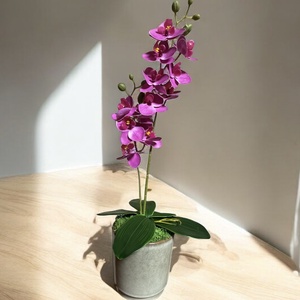 Orchidea tavaszi asztaldísz, Otthon & Életmód, Dekoráció, Asztal és polc dekoráció, Asztaldísz, , MESKA