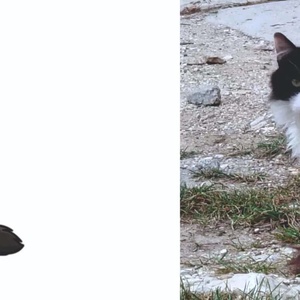 Cicás fakanál fotó alapján név gravírozással - otthon & életmód - konyhafelszerelés, tálalás - sütés, főzés - fakanál & fakanáltartó - Meska.hu