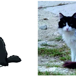 Cicás fakanál név gravírozással, fotó alapján is - otthon & életmód - konyhafelszerelés, tálalás - sütés, főzés - fakanál & fakanáltartó - Meska.hu