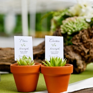 Kövirózsa mini cserépben - esküvő - emlék & ajándék - köszönőajándék - Meska.hu