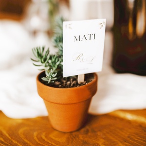 Pozsgások mini cserépben - esküvő - emlék & ajándék - köszönőajándék - Meska.hu