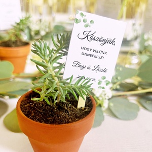 Pozsgások mini cserépben - esküvő - emlék & ajándék - köszönőajándék - Meska.hu