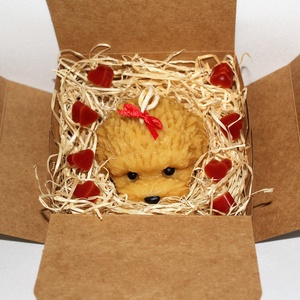 Díszdobozban Maltipoo vagy Cockapoo ? Cuki lány kutyus méhviaszgyertya - otthon & életmód - gyertya, illat, aroma - gyertya - Meska.hu