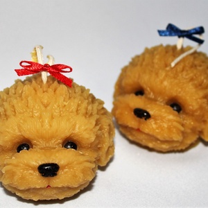 Díszdobozban Maltipoo vagy Cockapoo ? Cuki lány kutyus méhviaszgyertya - otthon & életmód - gyertya, illat, aroma - gyertya - Meska.hu