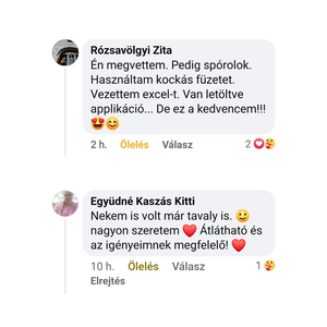 Pénzügyi napló (pénzügyi tervező) - otthon & életmód - papír, írószer - jegyzetfüzet & napló - Meska.hu